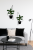 Minimalist Salon z Roślinami.png