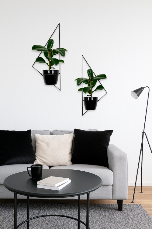 Minimalist Salon z Roślinami.png