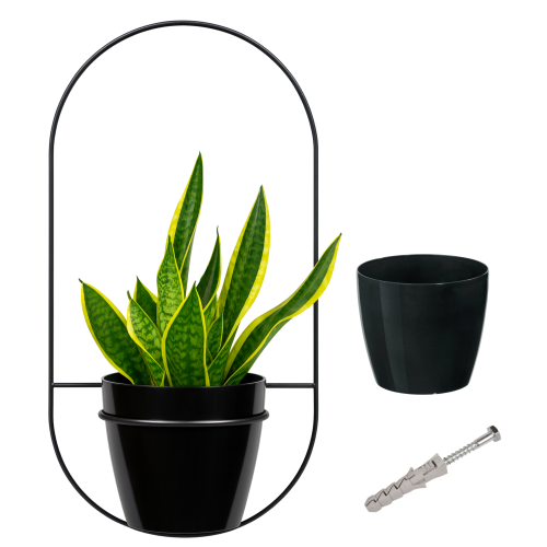 Projekt bez nazwy - 2025-09-20T114437.465.png