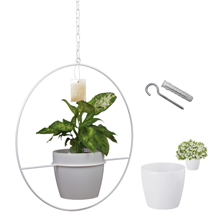 Projekt bez nazwy - 2024-08-30T131423.846.png