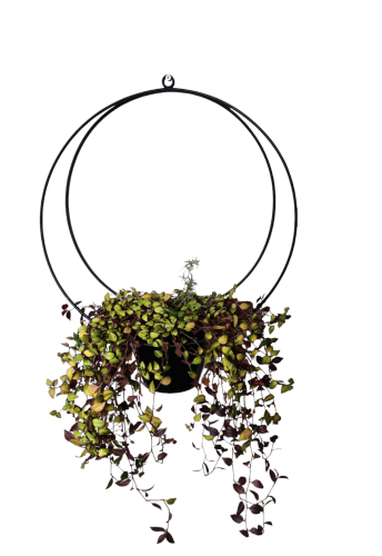 kwietnik-koszyk-scienny