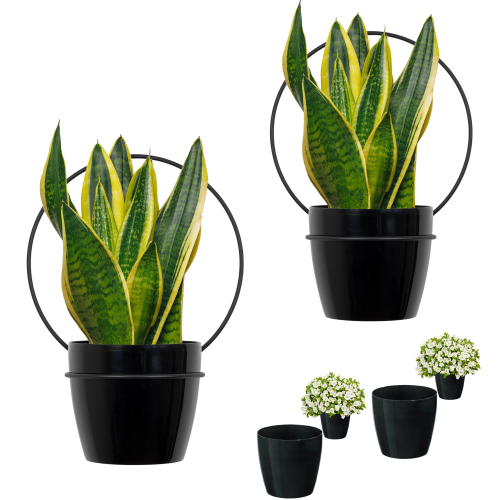 zestaw-2-szt-kwietnikow-kolo