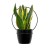 zestaw-2-szt-kwietnikow-kolo-czarne