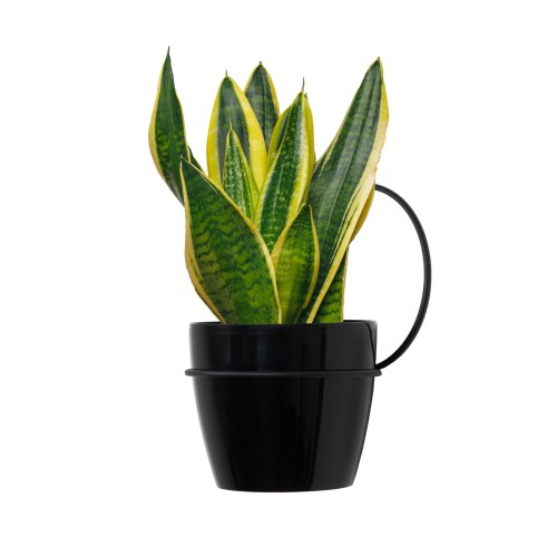 zestaw-2-szt-kwietnikow-kolo-mini-czarne