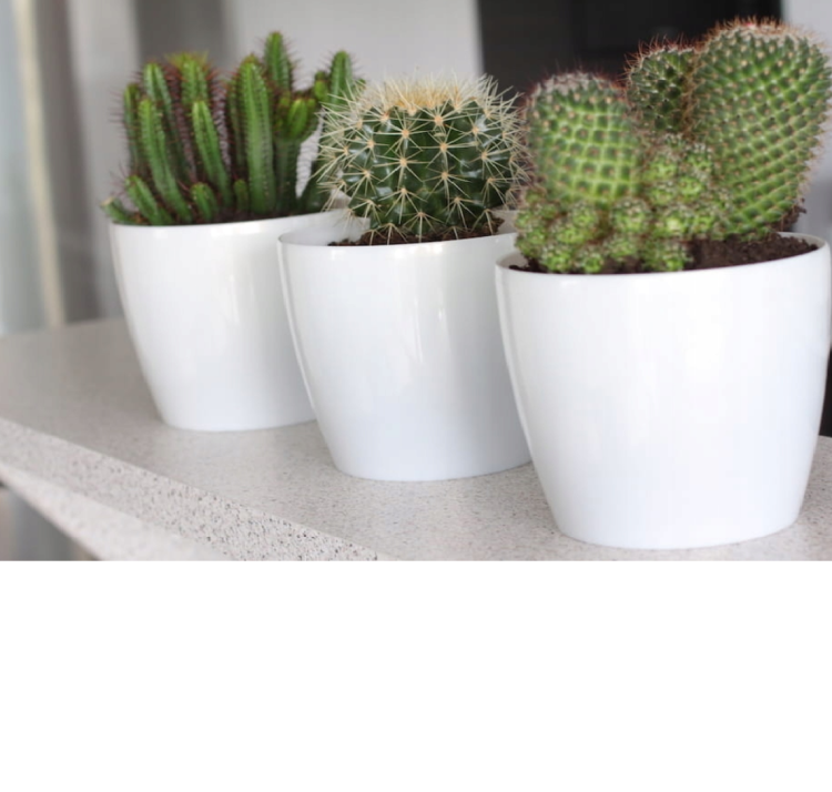 doniczka-oslonka-na -rosliny-biala