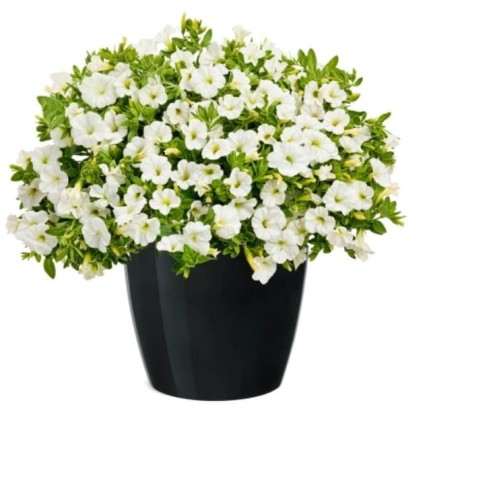 doniczka-oslonka-na-rosliny-18-cm-czarna