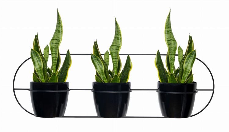 kwietnik-owal-xxl-99-cm