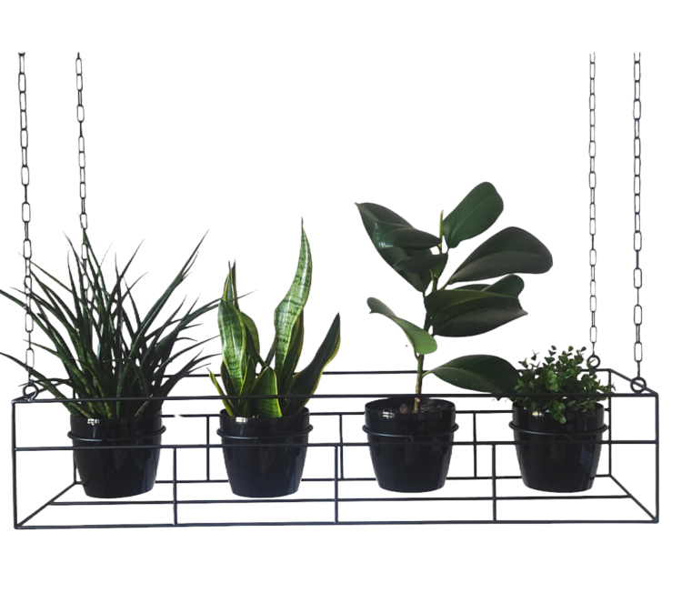 Projekt bez nazwy - 2024-06-13T123443.651.png