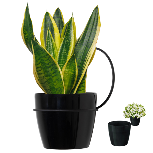 Projekt bez nazwy - 2024-05-30T093612.195.png