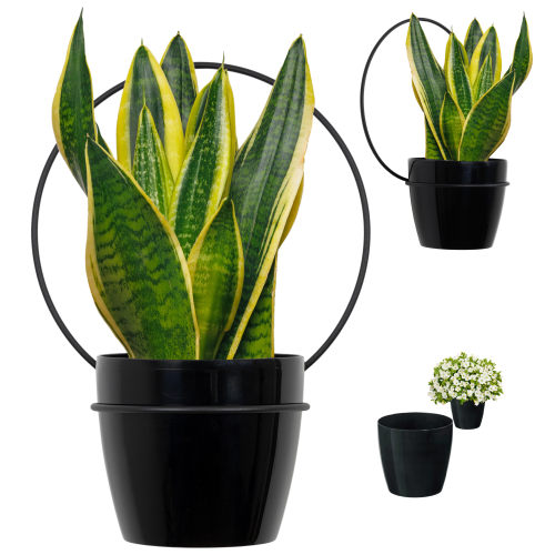 Projekt bez nazwy - 2024-06-09T113736.106.png