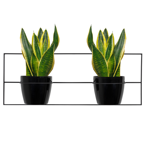 Projekt bez nazwy - 2025-01-25T061454.758.png