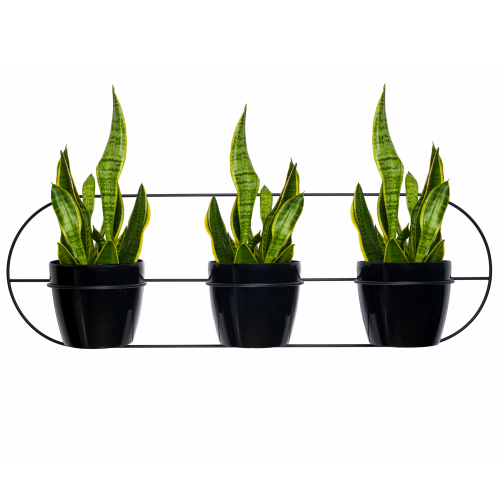 Projekt bez nazwy - 2025-01-25T061723.039.png