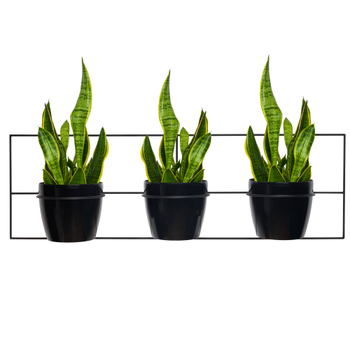 Projekt bez nazwy - 2025-01-25T061630.419.png