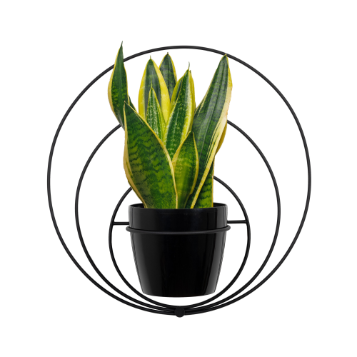 Projekt bez nazwy - 2025-01-25T062123.848.png