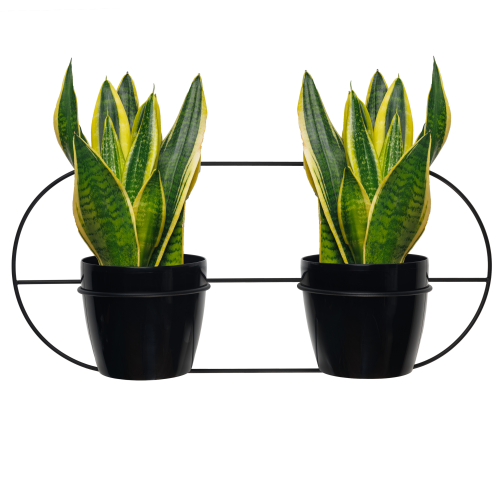 Projekt bez nazwy - 2025-01-25T061519.218.png